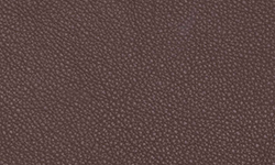 Fjords Walnut NL 129 Nordic Line Leather 