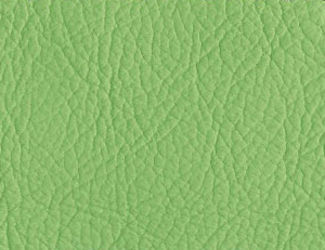 Stressless Paloma Summer Green 09491 Leather from Ekornes